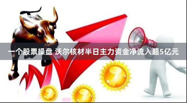 一个股票操盘 沃尔核材半日主力资金净流入超5亿元