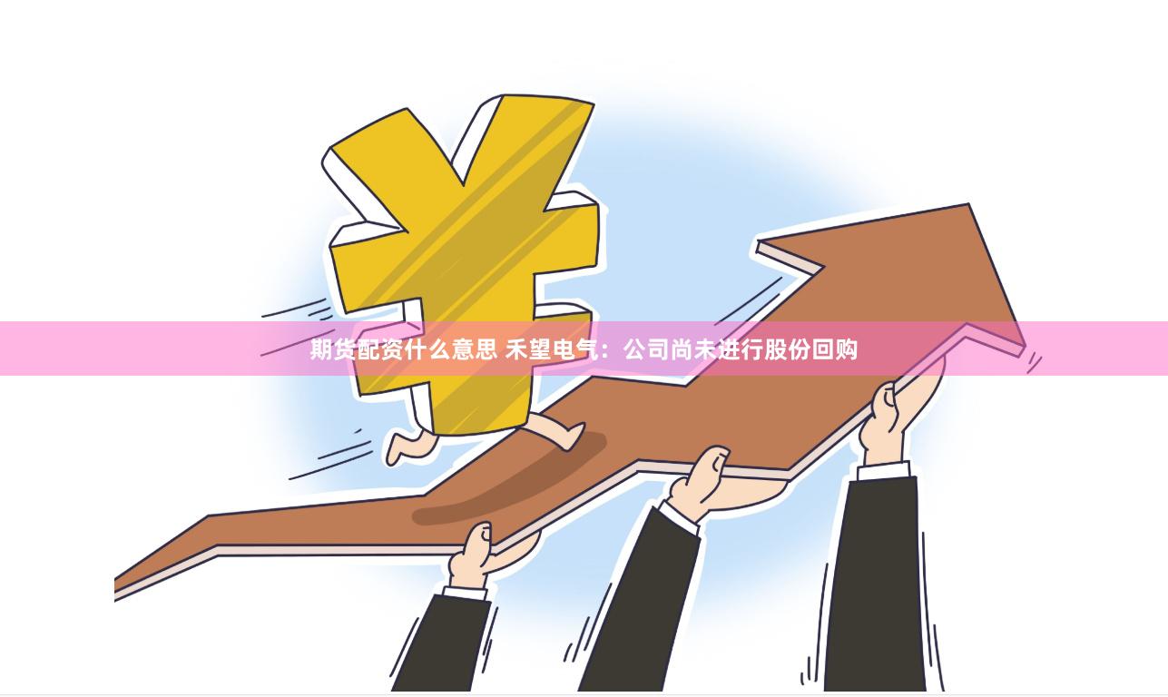 期货配资什么意思 禾望电气：公司尚未进行股份回购